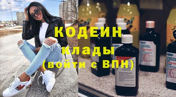 дживик Богородск