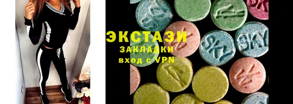 дживик Богородск