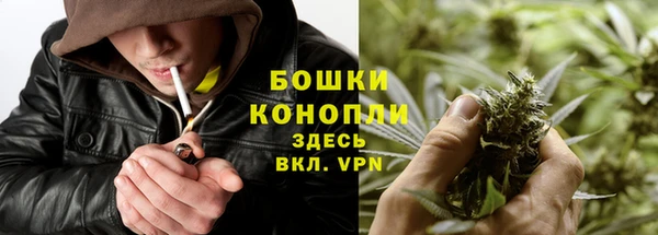 не бодяженный Беломорск