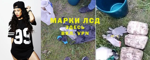 не бодяженный Беломорск