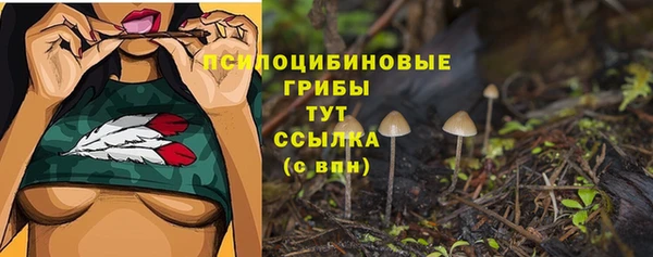 прущий лед Саяногорск