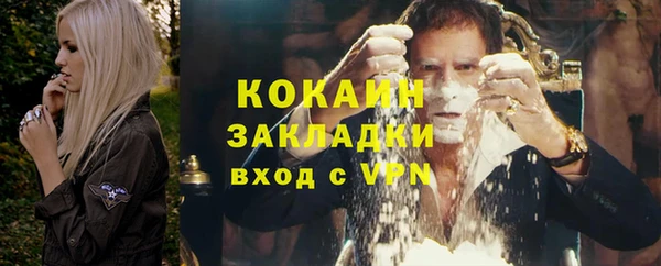 дживик Богородск