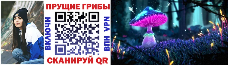 Псилоцибиновые грибы Magic Shrooms хочу Чудово